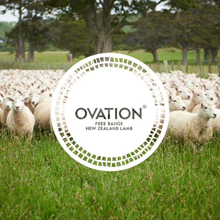 White circle with Ovation Free Range New Zealand Lamb logo superimposed on a pasture with a herd of sheep in the foreground and trees in the background. 