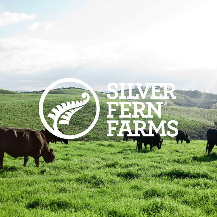 Silver Fern Farms logo superimposed over several steers grazing on a grassy New Zealand pasture under a hazy sky. 