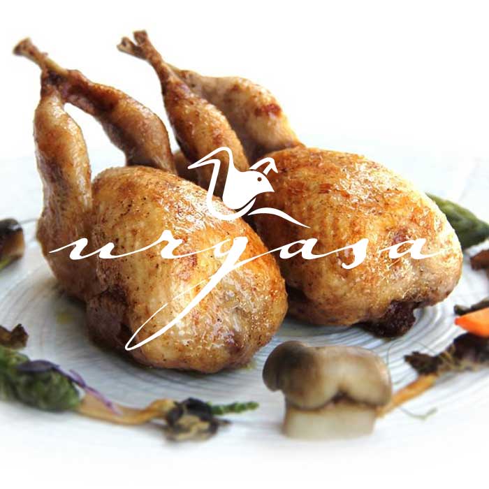 The Urgasa quail logo superimposed over a plate holding two roasted quail ringed with vegetables and mushrooms.