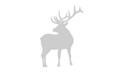 Grass-Fed Elk